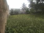 6.25 Perches Commercial Land Sale in Nawala Main Road Facing