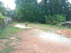 6.25P Valuable Land For Sale in Ganemulla Kadawatha