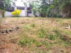 6.2P Residential Land For Sale In Homagama