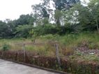 6.2P Residential Land for Sale in Weera Mw, Kalalgoda (SL 13392)