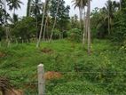 63 Perch Land Sale in Koshena Kuliyapitiya