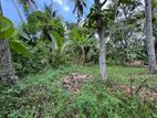 63 Perches Superb Land for Sale in Piliyandala Kesbewa