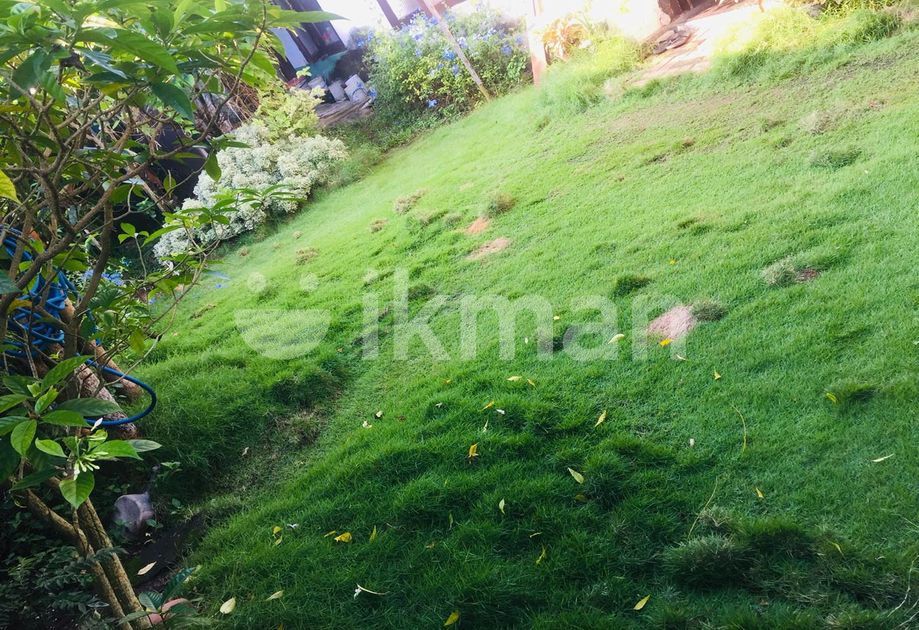 6.3P Land with a Old House for sale in Nugegoda (SL 13665) ikman