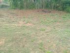 6.45 perches land for sale within Homagama city limits (SSPL-001