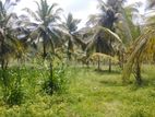 645P Land for Sale in Minhetiya, Baddegama, Kurunegala (SL 14615)