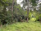 65 Acres Land For Sale In Anuradhapura - Galkulama