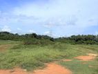 6.5 Acres Land for Sale in Kalagedihena, Nittambuwa.