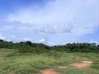 6.5 Acres Land for Sale in Kalagedihena, Nittambuwa.