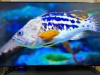 65 Inch TCL 4K UHD Smart TV 2020