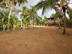 6.5 land for sale in Rathmalana (mal56)