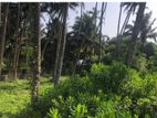 65 Perches Land For Sale in Payagala - Kalutara (SSPL-430)
