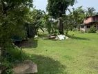 65 Perches Land Sale in Borupana Ratmalana