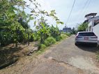6.50P Bare Land For Sale In Jayaliyagama