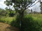 6.5P Residential Land For Sale In Kalalgoda
