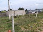 6.6P Highly Residential Land for Sale in Wellampitiya
