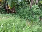 67 PERCH LAND for SALE in GODAGAMA Madulawa Horagala