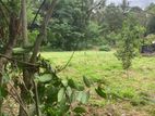 67 PERCH LAND for SALE in GODAGAMA Madulawa Horagala
