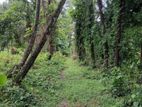 67P Land in Pattiyagama, Pugoda (SL 14433)