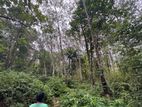 6.8 Acre Land for Sale in Hanwella | LKR 85 Million(LA4730)