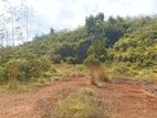 6.8 Acres of Scenic Land for sale in Horana