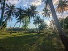 68P Land for Sale – Panakaduwa (Rambawewa Katupotha Road)