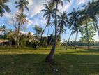 68P Land for Sale – Panakaduwa (Rambawewa Katupotha Road)