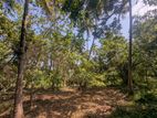 68P Valuable Land for Sale – Near Technical College, Wariyapola