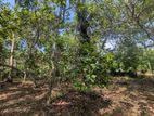68P Valuable Land for Sale – Near Technical College, Wariyapola