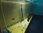 6 Feet Fish Tank