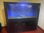 6 Feet Fish Tank