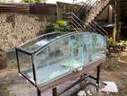 6ft Curved Fish Tank