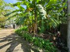 6P Commercial Bare Land For Sale In Thalawathugoda