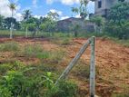 6P Prime Land For Sale In Homagama