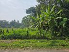 6P Prime Land For Sale In Nugegoda