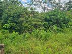 6P Residential Land For Sale In Homagama Lenagala