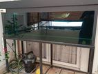 6x2x2 Glass Aquarium Fish Tank 600 Litre 6 Foot Feet