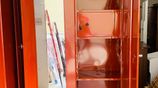 6×3.5 Ft Steel Cupboards