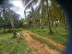 7 Acars Coconut Land for Sale in Diulapitiya