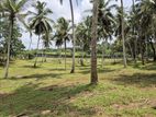 7 Acr super Land for sale in Horana Hadapangoda