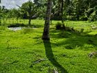 7 Acre Estate Land for Rent – Nittambuwa (EM143RK)