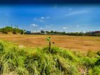 7 Acre Land for Lease in Wattala