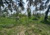 7 ACRE LAND FOR LONG TERM LEASE KADUWELA - Ansicht 3