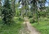 7 ACRE LAND FOR LONG TERM LEASE KADUWELA - Ansicht 2