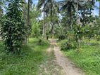 7 ACRE LAND FOR LONG TERM LEASE KADUWELA