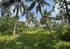 7 ACRE LAND FOR LONG TERM LEASE KADUWELA - Ansicht 4