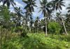 7 ACRE LAND FOR LONG TERM LEASE KADUWELA - Ansicht 5