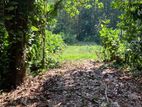 7-Acre Land for Sale – Pelanda | Bordering Sinharaja Rainforest