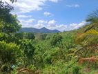 7 acres Agricultural Property for Sale in Matale.