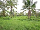 7 Acres Coconut & Cinnamon Land for Sale @ Bandaragama