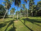 7 Acres Coconut Land For Sale In Hadapangoda